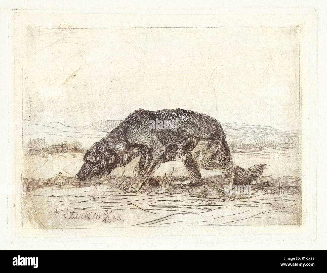 Hund, Elias Stark, 1888 Stockfoto