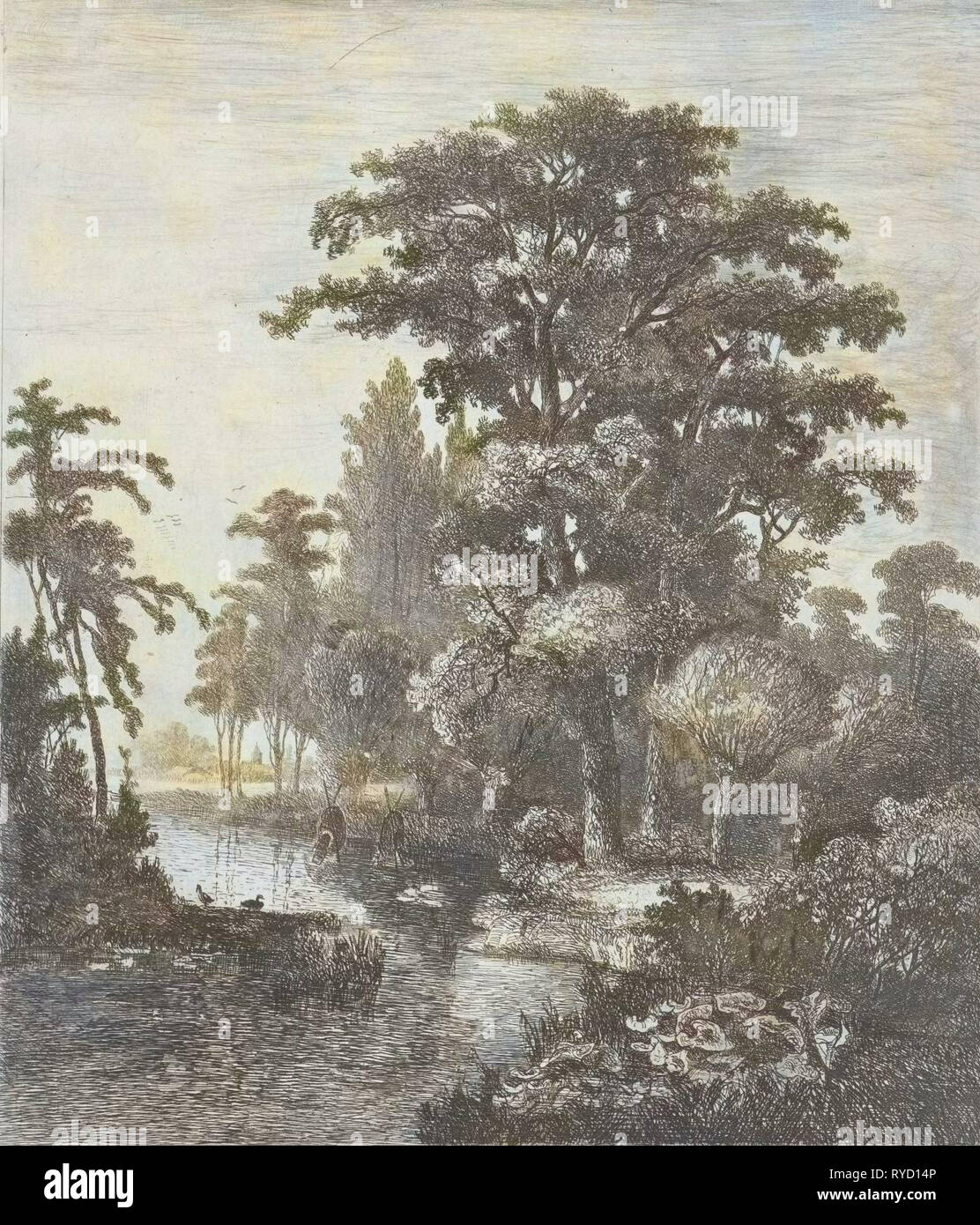 Wald-Szene mit zwei Enten nisten in einem Fluss, Hermanus Jan Hendrik van Rijkelijkhuysen, 1861 Stockfoto