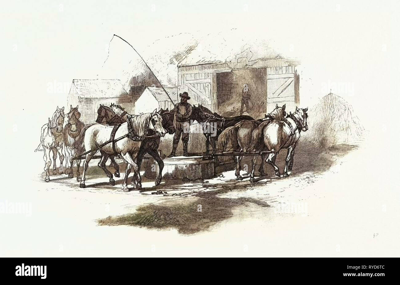 Das Dreschen von Horse Power, Kanada, 19. Jahrhundert Gravur Stockfoto
