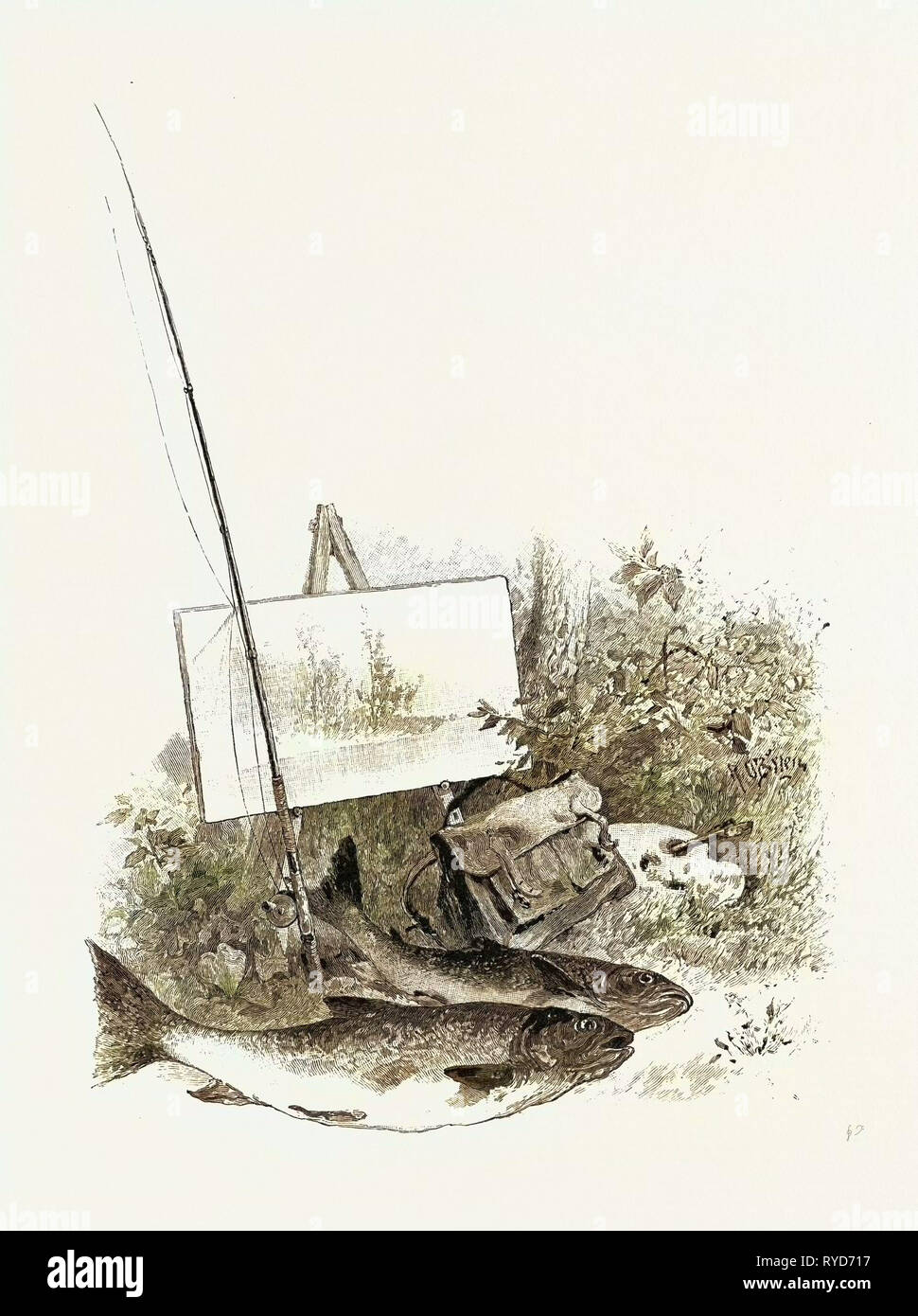 Kunst und Natur, Kanada, 19. Jahrhundert Gravur Stockfoto