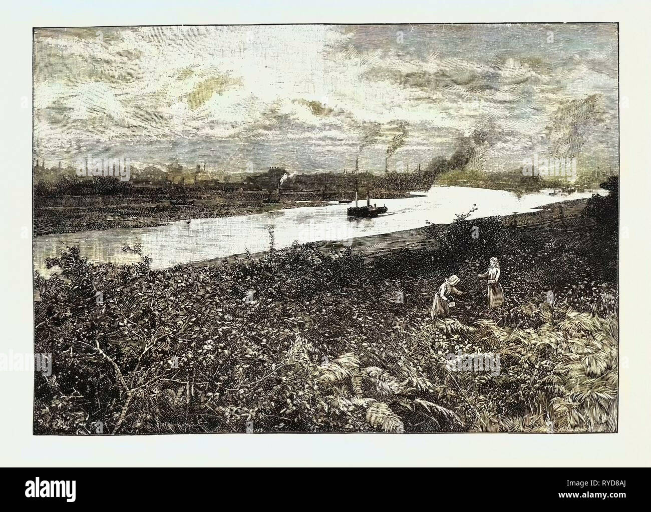 Auf der Orwell in Ipswich, Großbritannien. Die River Orwell fließt durch die Grafschaft Suffolk in England. Ipswich ist die Hauptstadt der Grafschaft Suffolk, England Stockfoto