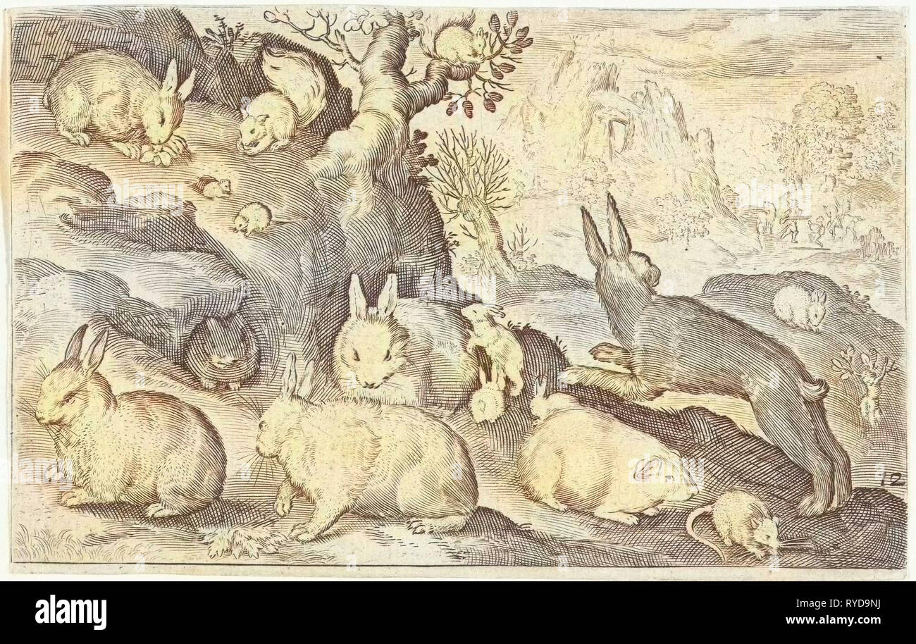 Maus, Nicolaes de Bruyn, 1594, Meerschweinchen, Kaninchen und Eichhörnchen Stockfoto