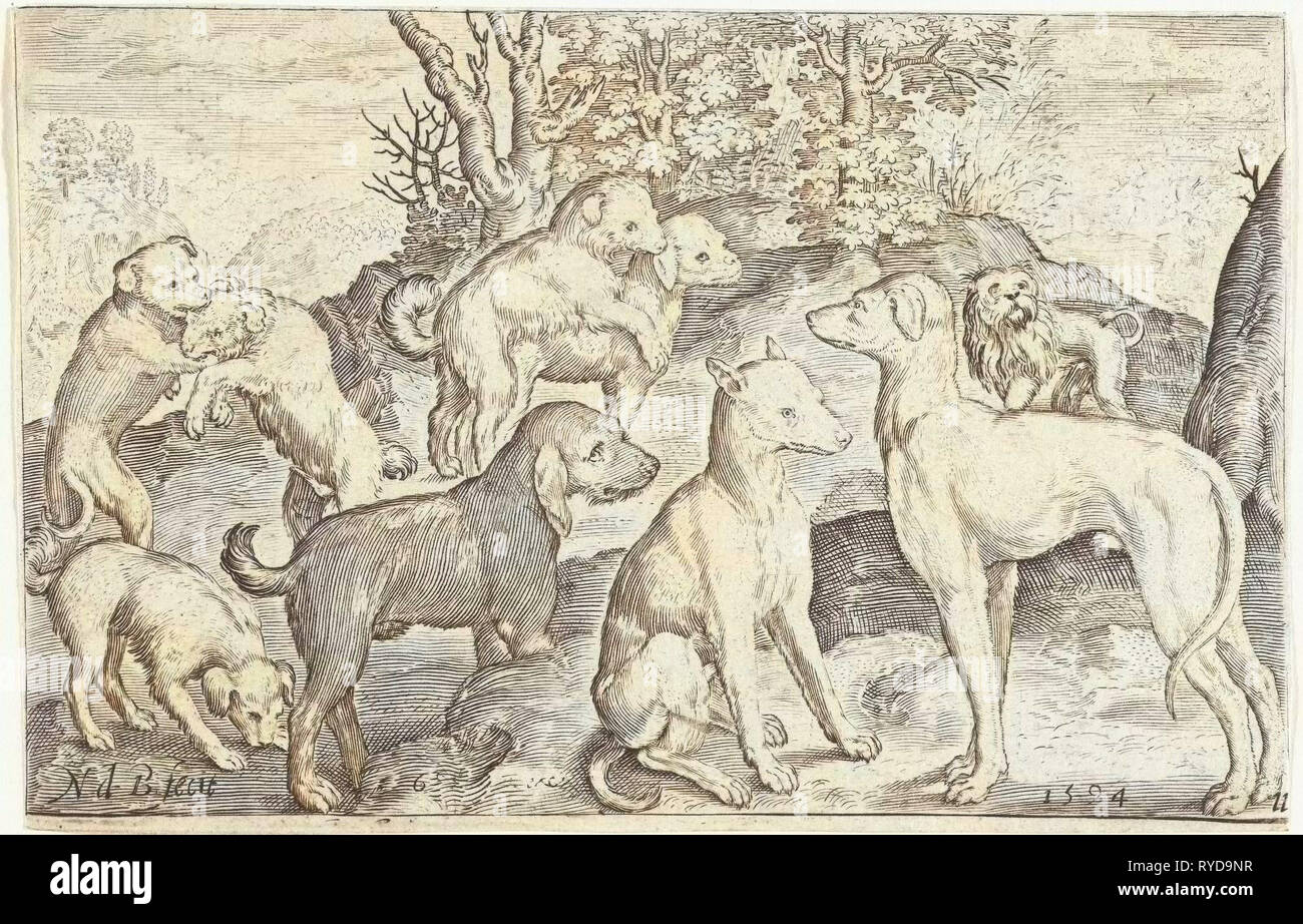 Neun Hunde, Nicolaes de Bruyn, 1594 Stockfoto