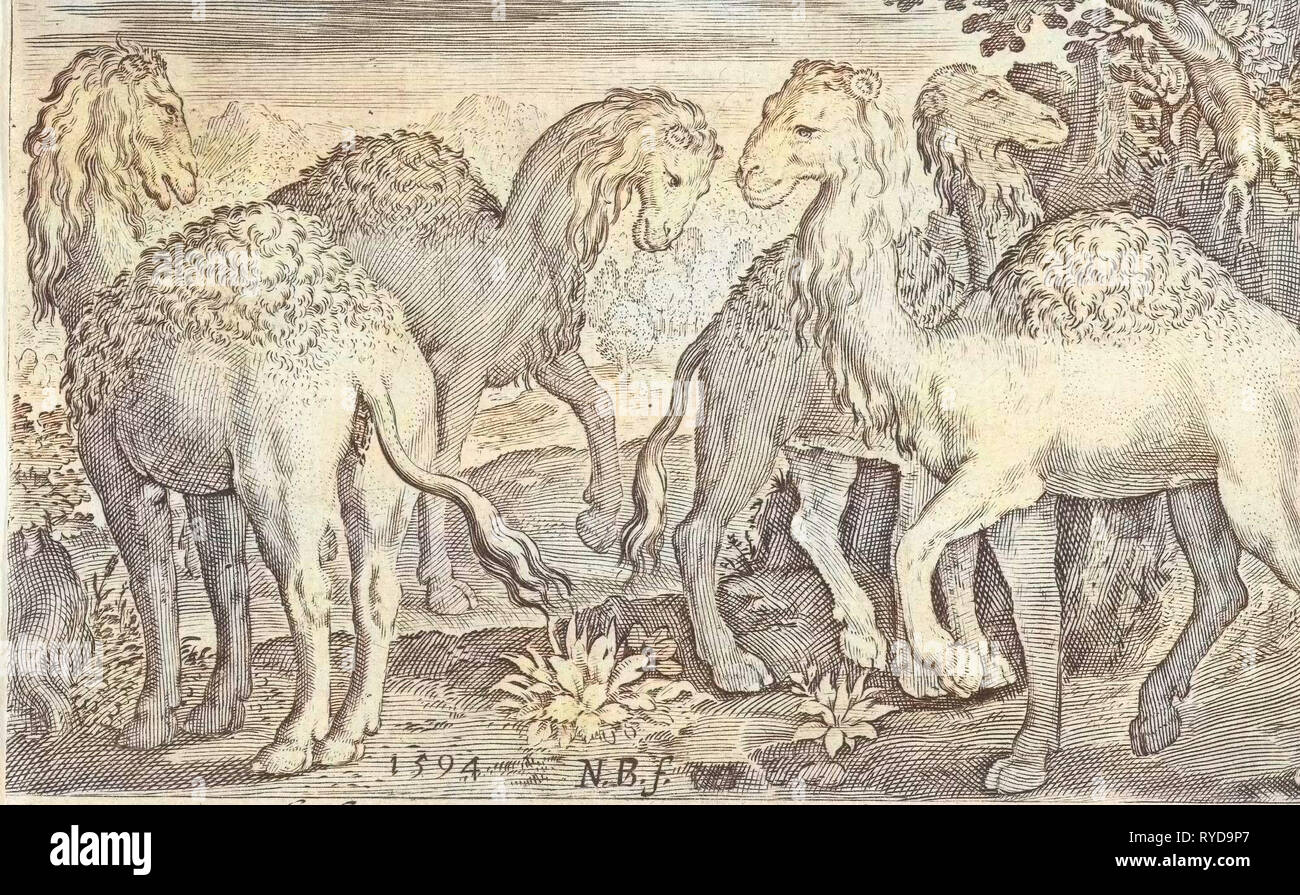 Vier Buckelwale, Nicolaes de Bruyn, 1594 Stockfoto