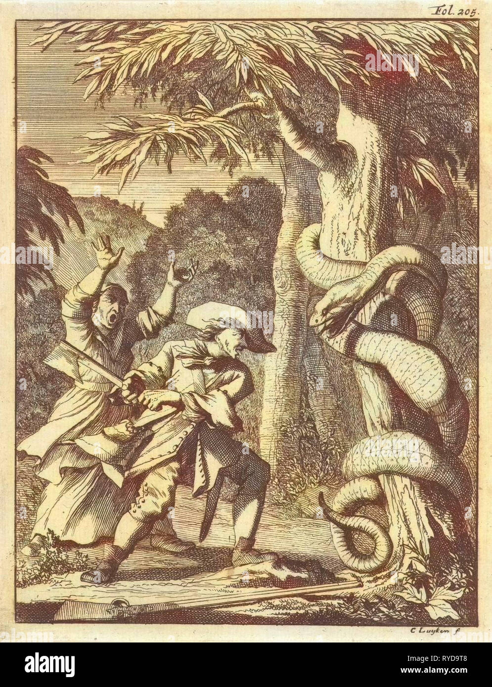 Riesige Schlange, um einen Baum, angegriffen von einem Mann mit Axt, Caspar Luyken, Willem van de Water, 1694 gewickelt Stockfoto