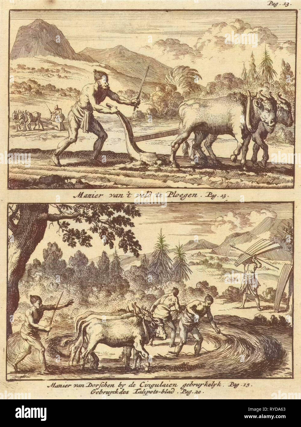 Pflügen, Landwirt, Bauern Dreschen, print Maker: Jan Luyken, Willem Broedelet, 1692 Stockfoto