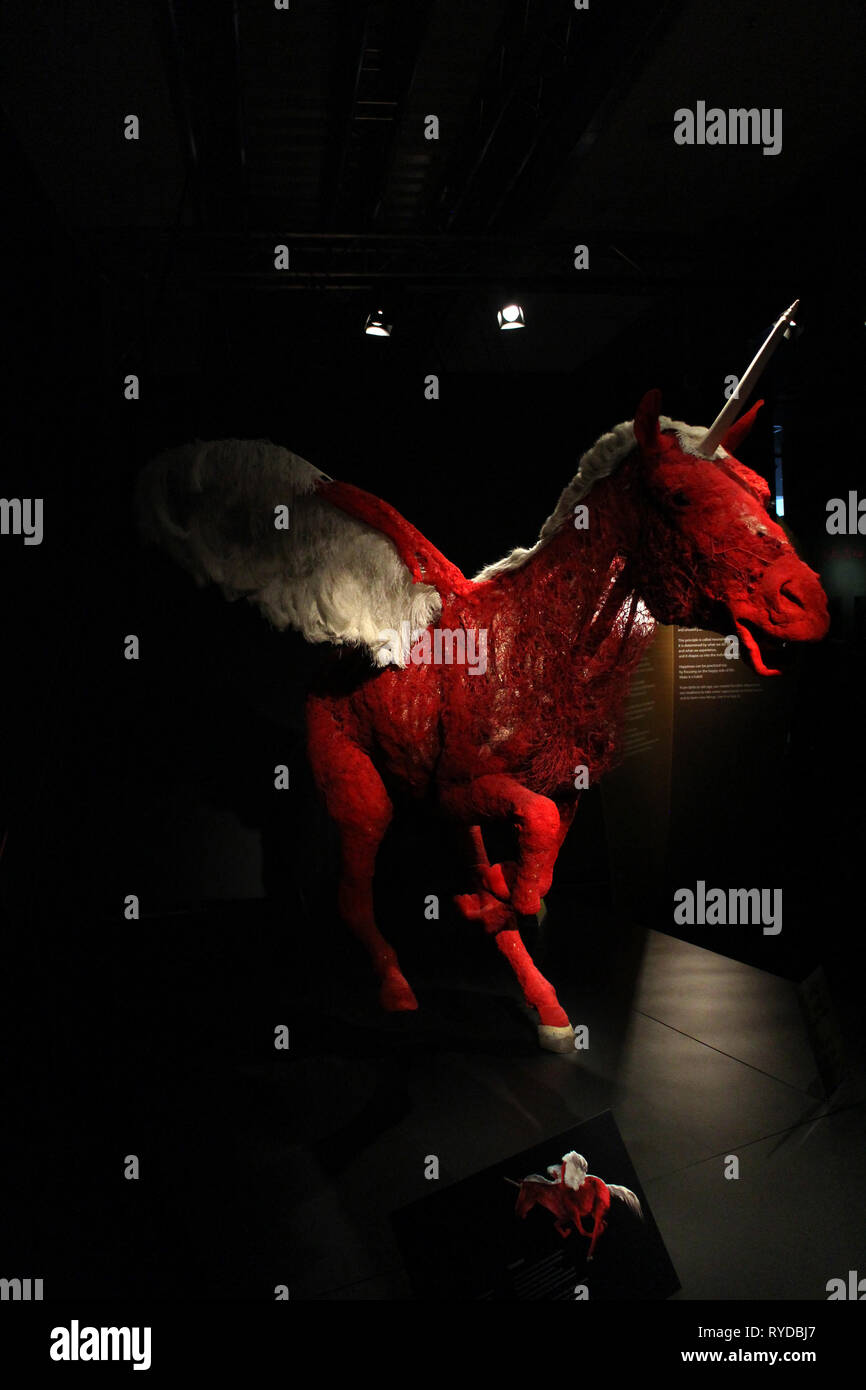 Bilder der Körperwelten plastinate am Lehrwerk Museum Berlin. Ein Einhorn Stockfoto