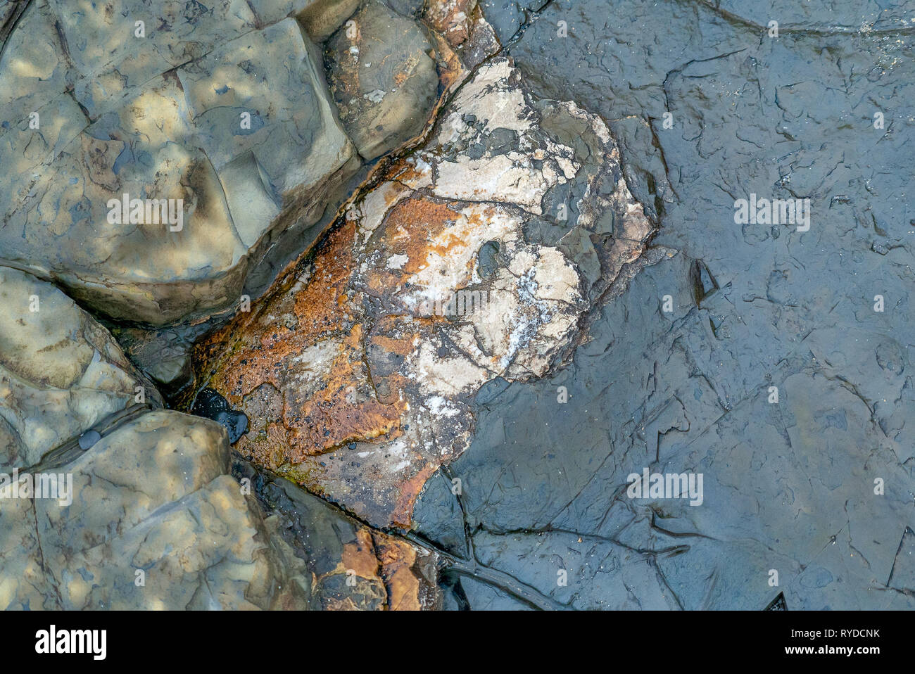 Oberer Jura Tonformationen bei Kimmeridge Bucht in Dorset UK