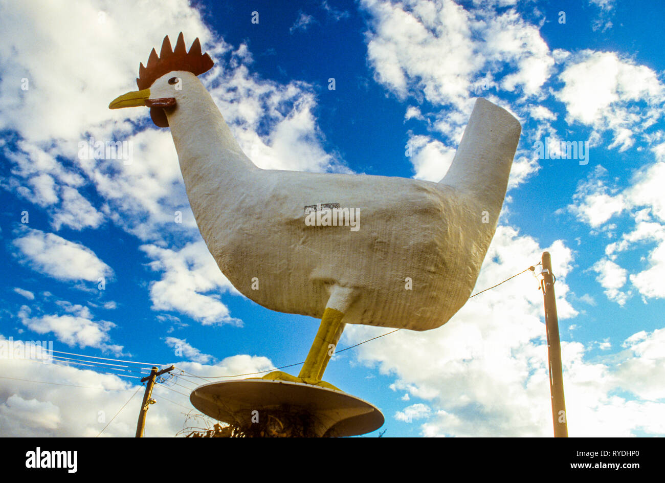 Die großen Duty Chook an Moonbi auf dem New England Highway in der Nähe von Tamworth, NSW, Australien Stockfoto