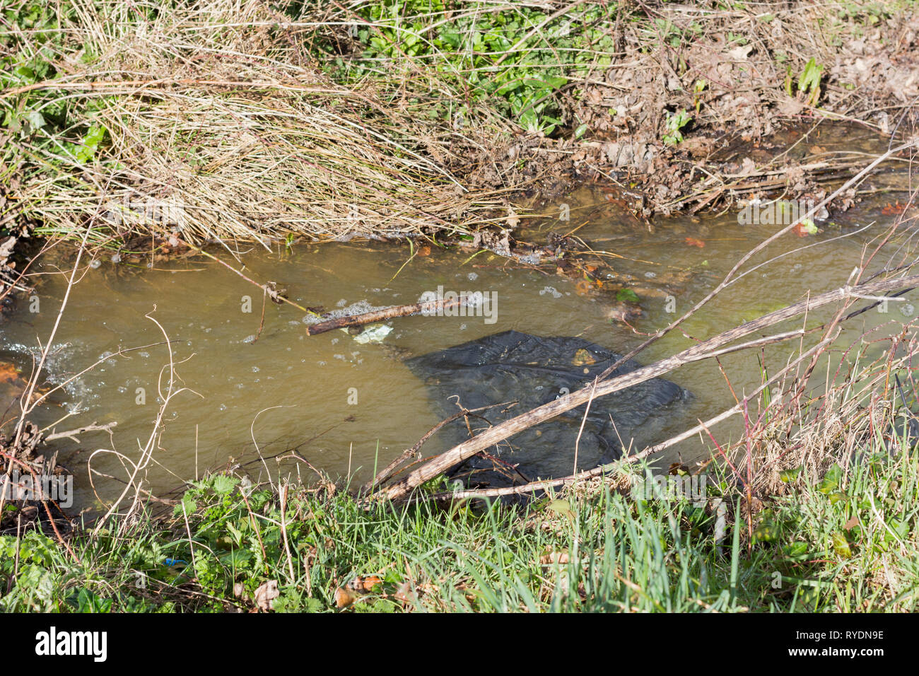 Plastikmüll umweltschädliche ein Strom in einem städtischen Gebiet, Dorset, Großbritannien Stockfoto