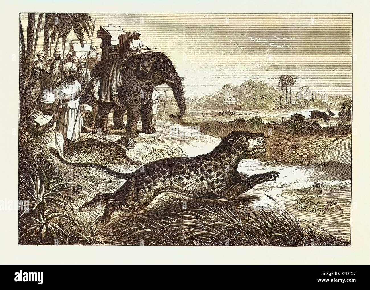 Sport in Indien, Jagd Antilopen mit dem Cheetah, Gravur 1876. Antilopen, Tier, Big Cat, wilde Katze Stockfoto