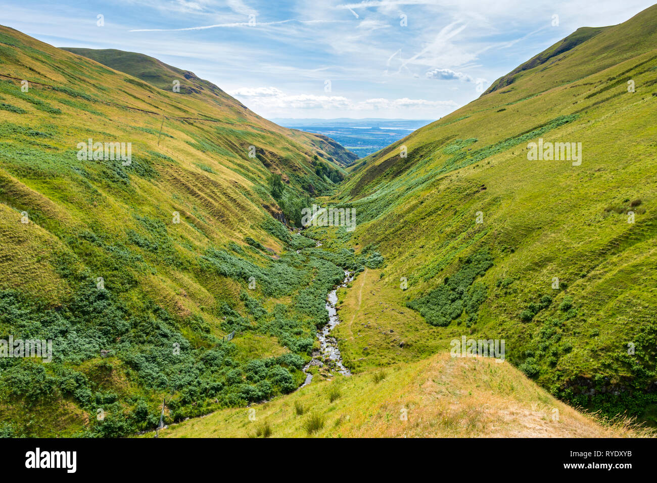 Der Oberlauf des Alva Glen in der Ochil Hills, Clackmannanshire, Schottland, Großbritannien Stockfoto