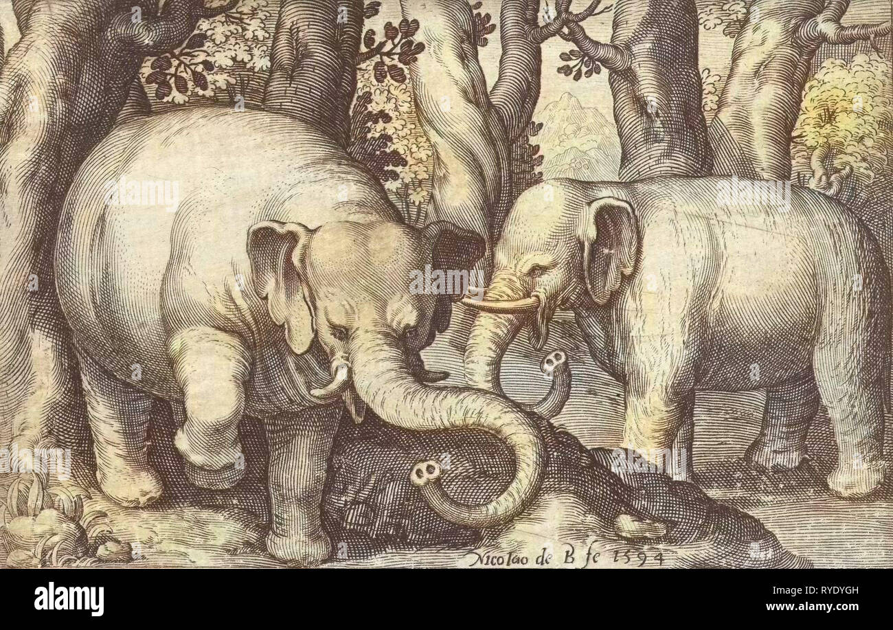 Zwei Elefanten, print Maker: Nicolaes de Bruyn, Assuerus van Londerseel, 1594 Stockfoto