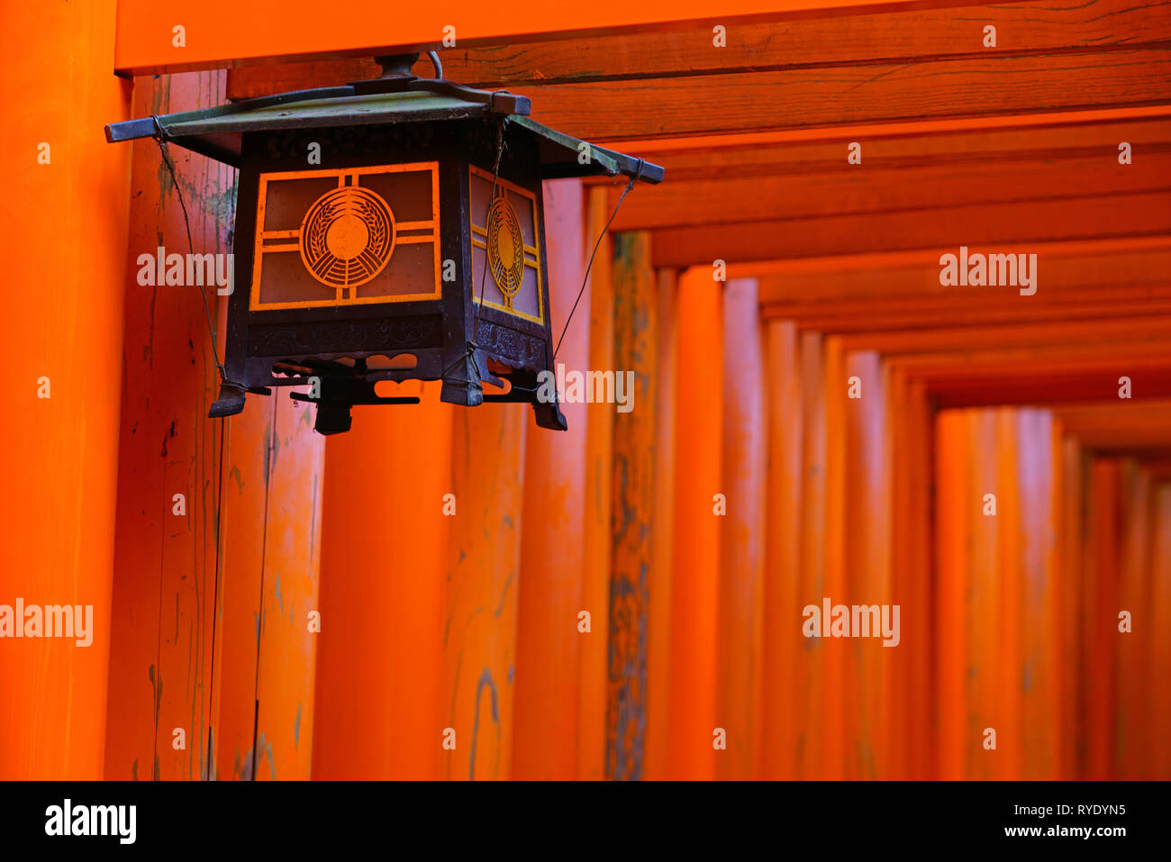 Blick auf rote tori Tore mit Säulen am Fushimi Inari Taisha Shrine, an der Basis der Inari Berg in Kyoto, Japan. Stockfoto