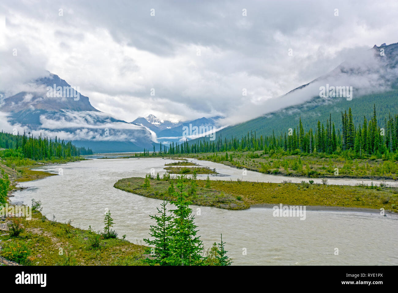 Die Kanadischen Rockies und die sunwapta Fluss im Nebel und Wolken Stockfoto
