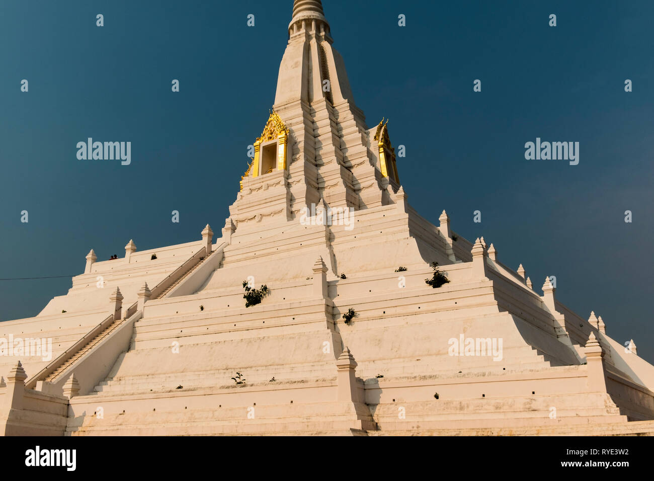 Wat Phukhao Thong Ayutthaya Thailand Stockfoto