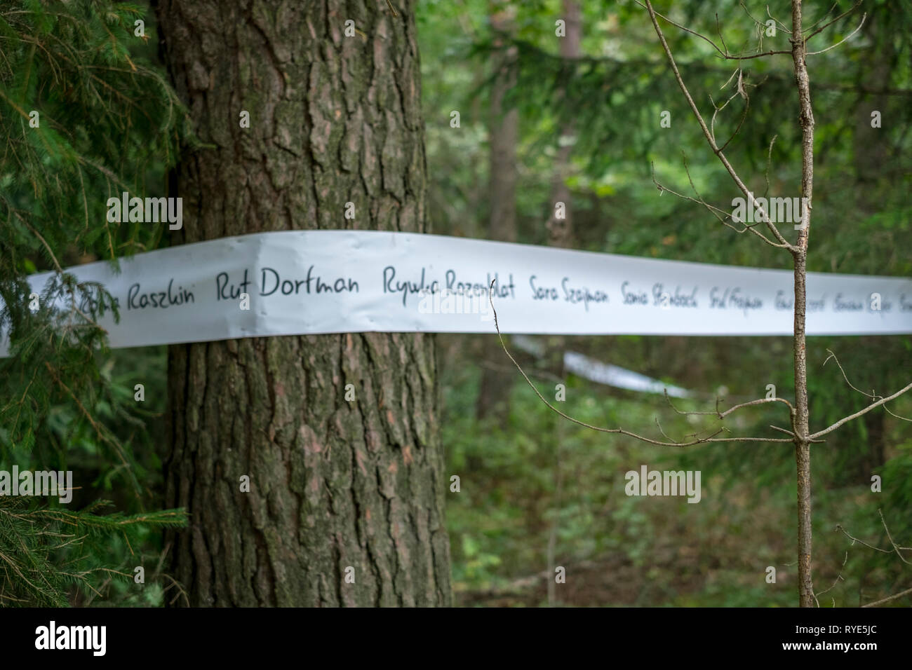 Commemorative Bander Mit Den Namen Der Opfer Drapiert Auf Baume Am Eingang Nach Treblinka Konzentrationslager Im Nordosten Polens Stockfotografie Alamy
