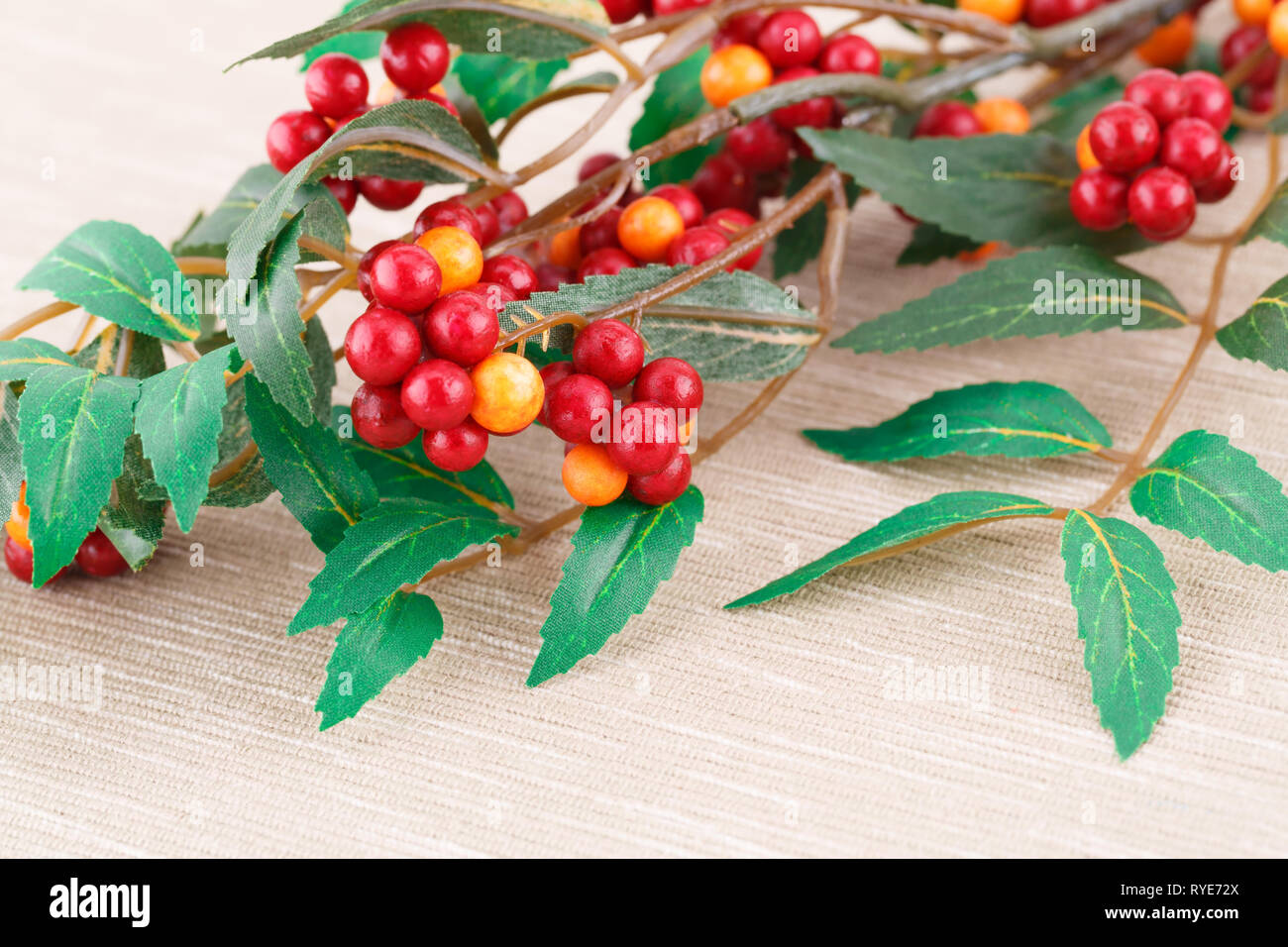 Fabric Pflanzen mit Beeren auf Hintergrund Tuch. Stockfoto