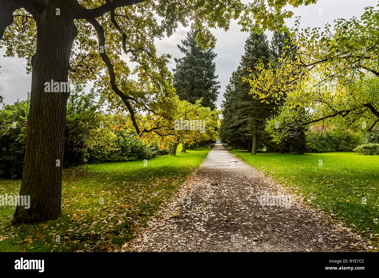 Die Natur in der Nähe von Peterhof, Teichen und Wäldern. Die Natur in der Nähe von Peterhof, Teichen und Wald Stockfoto