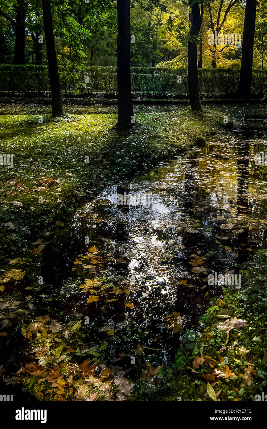 Die Natur in der Nähe von Peterhof, Teichen und Wäldern. Die Natur in der Nähe von Peterhof, Teichen und Wald Stockfoto