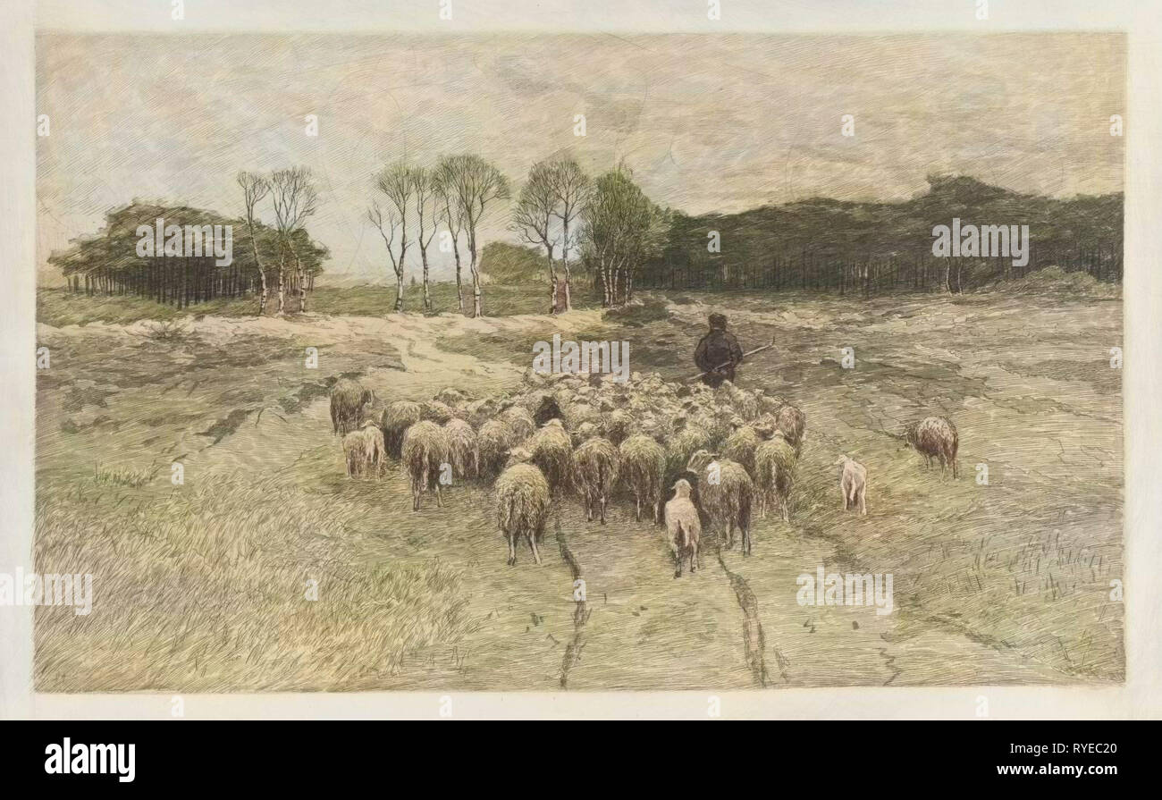 Schäfer, Elias Stark, Anton Mauve, 1889 Stockfoto