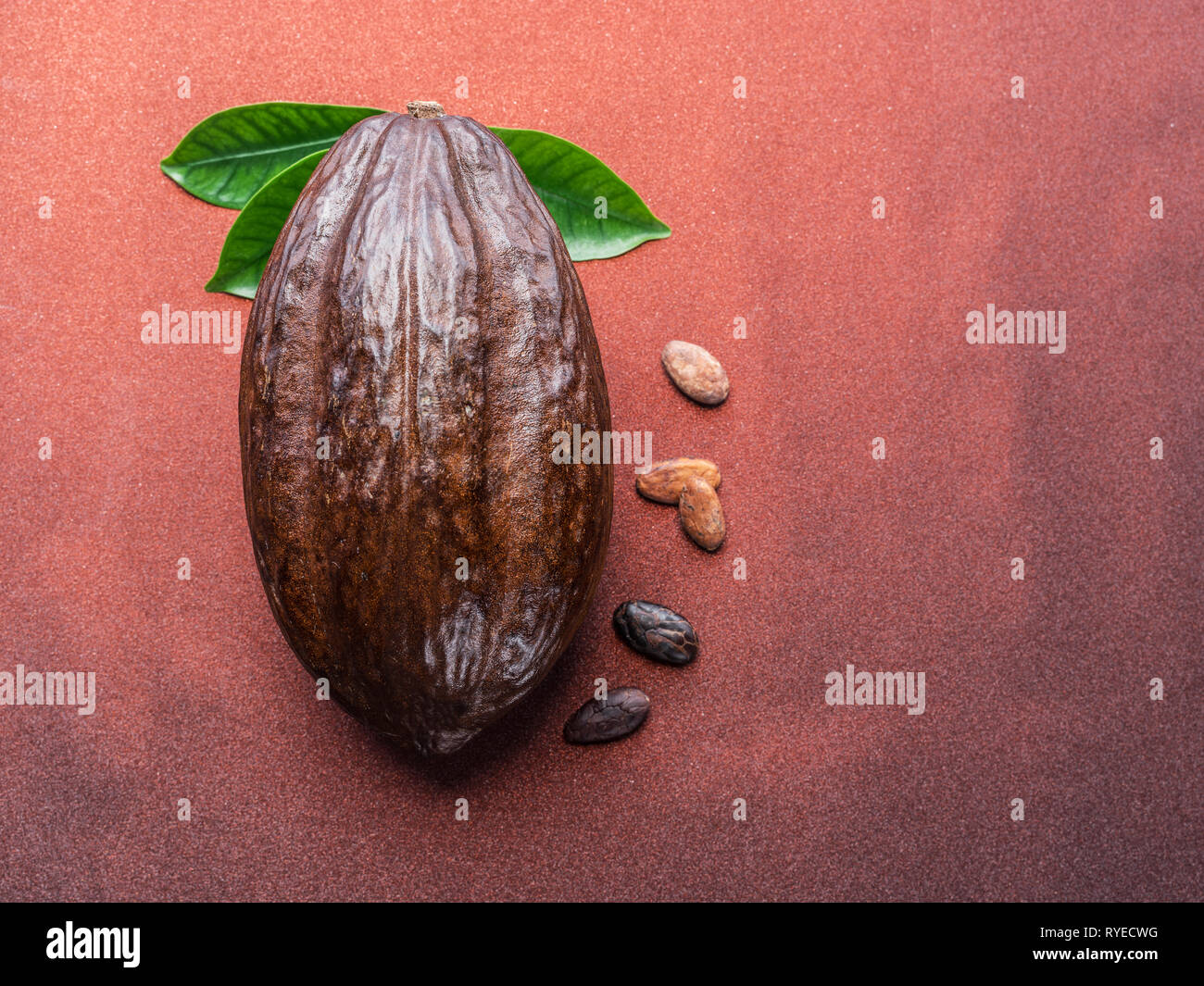 Kakaofrucht und Kakao Bohnen auf dem roten Hintergrund. Ansicht von oben. Stockfoto