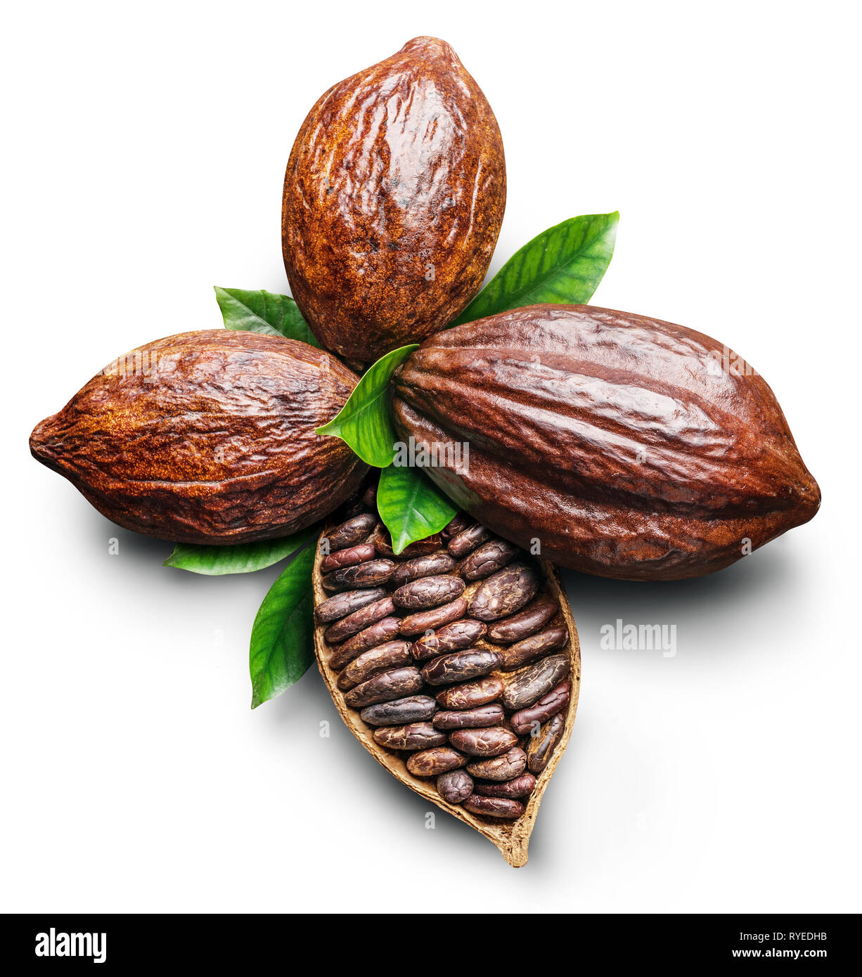 Kakaofrüchte und Kakao - Schokolade Basis auf einem weißen Hintergrund. Freistellungspfaden. Stockfoto