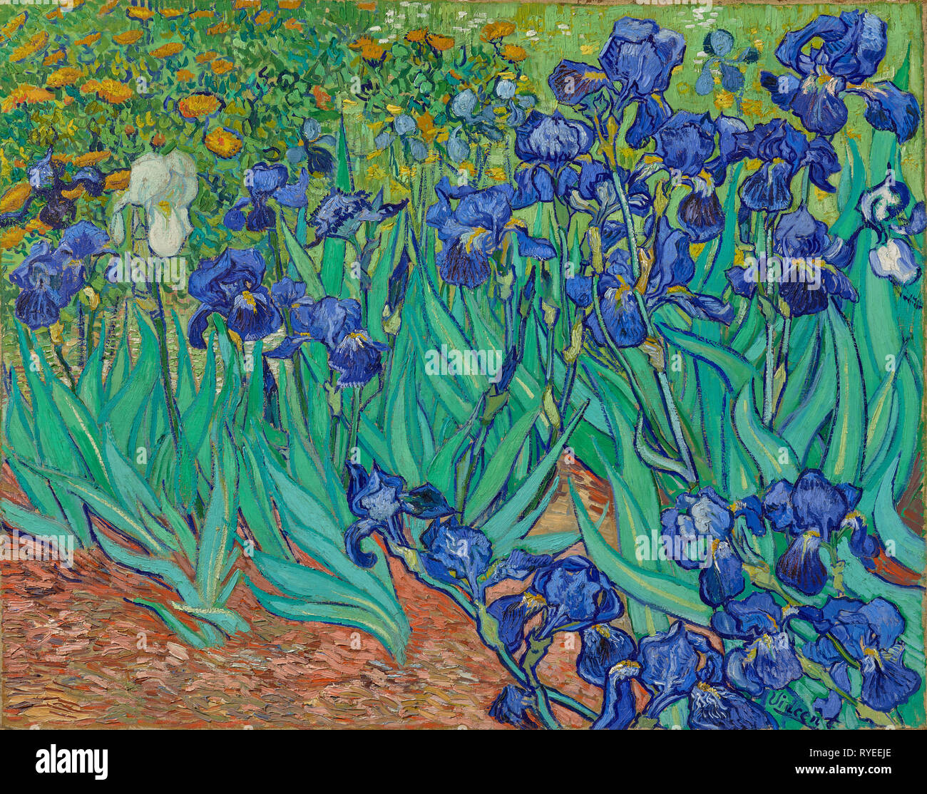 Schwertlilien; Vincent van Gogh (1853 - 1890); Saint-Rémy, Frankreich, Europa; 1889; Öl auf Leinwand, 74,3 × 94,3 cm (29 1/4 x 37 1/8 in.); 90. PA.20 Stockfoto