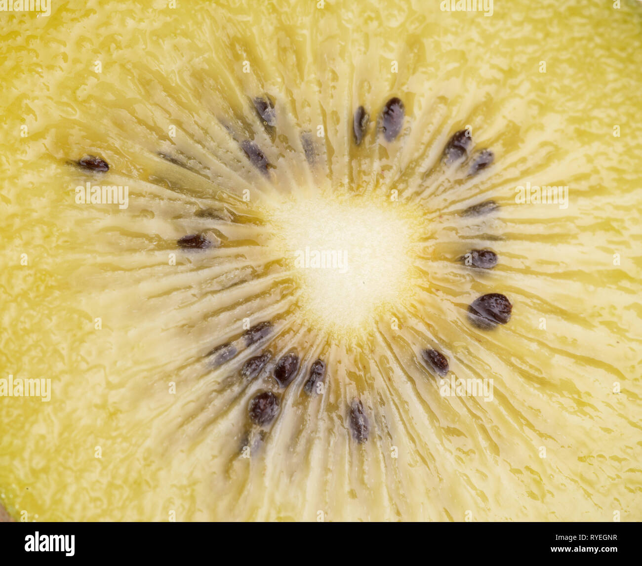Saftiges Stück Golden Kiwi. Makro Bild der weiche Textur der Kiwi Fleisch. Stockfoto