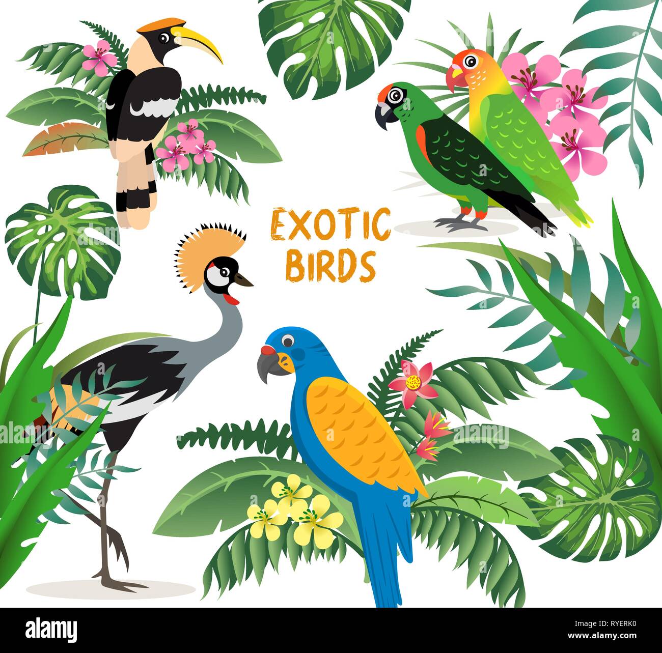 Exotische Vögel, gekrönt Kran, bunte Papageien lovebirds und Blau mit gelben Flügeln macaw, freundlich, tolle Hornbill, Blätter und Blüten, Vektor Stock Vektor