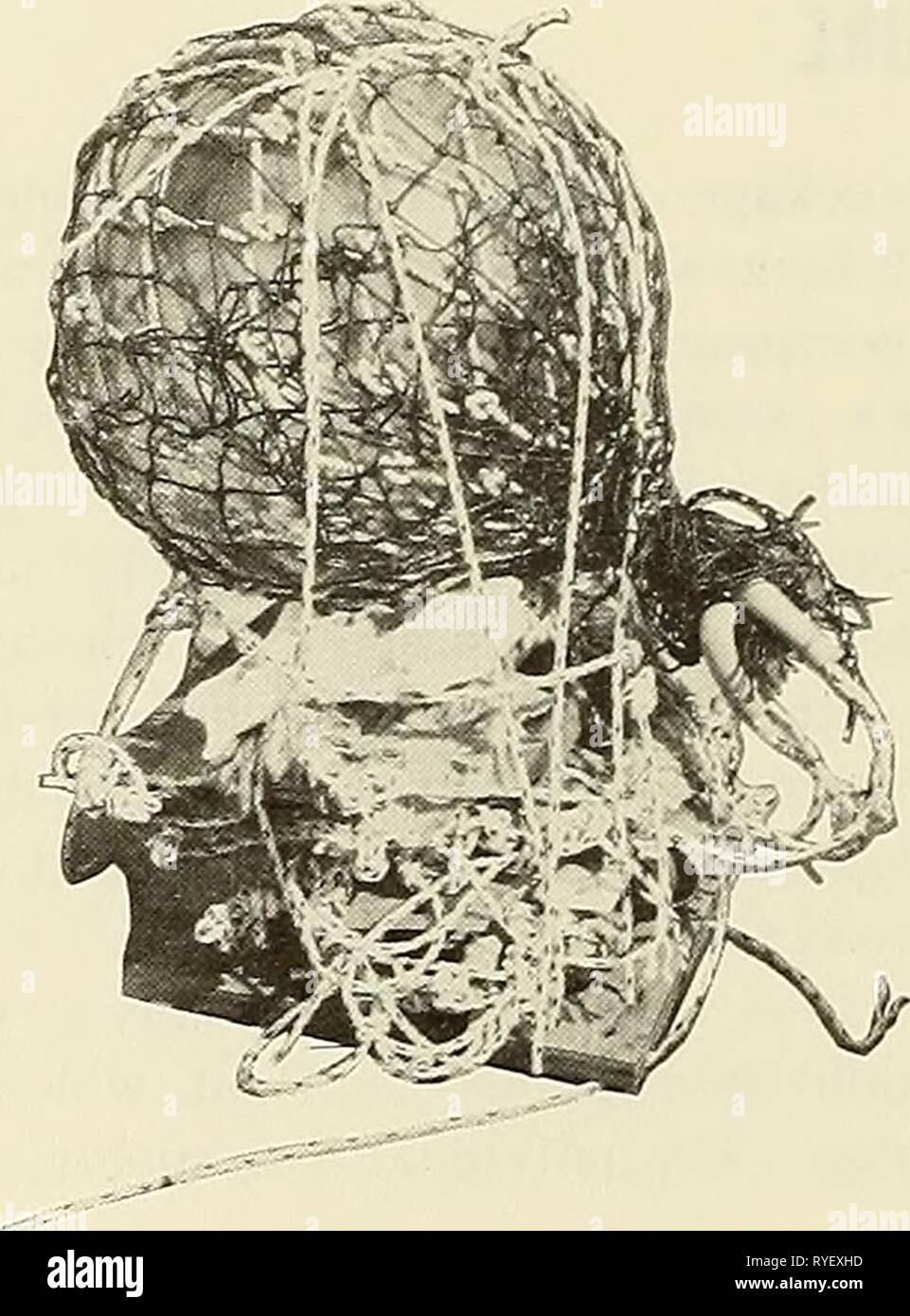 Auswirkungen von tiefen und flachen Ozean Umgebungen auf Baustoffe: Vergleich der Verschmutzung und Korrosion durch verlängerte sumergence aus ausgewählten Materialien hergestellt, mit und ohne schützende Beschichtungen effectsofdeepsha 00 thom Jahr: 1968 Abbildung 3. Test Baugruppe in original sandwich Anordnung, wie von USS SQUAW nach drei Monaten der Überflutung abgerufen. Abbildung 2. Test Baugruppe in Sandwich Anordnung. Stockfoto