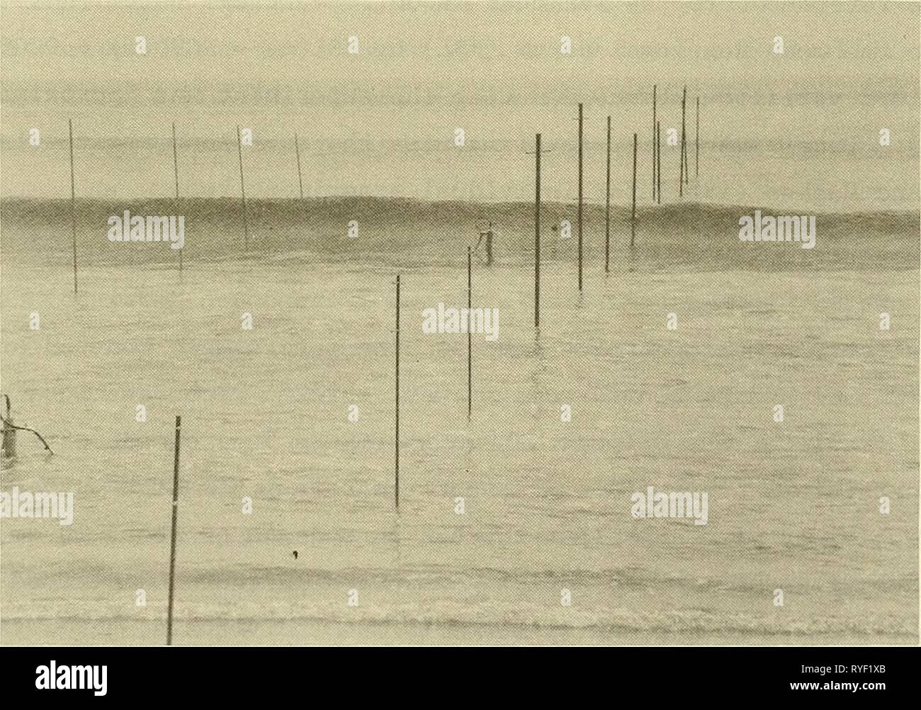 Höhe 17 Fuß 2 Zoll Stockfotos Höhe 17 Fuß 2 Zoll Bilder