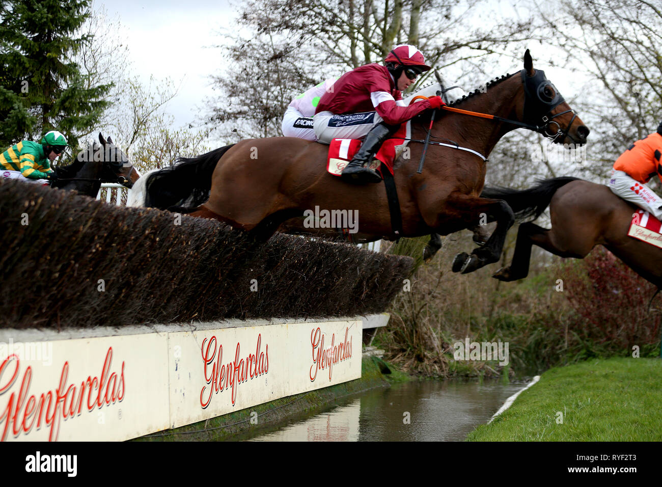 Tiger Roll geritten von Jockey Keith Donoghue geht über einen Wasser Sprung in der bushmills Chase während Damen Tag des 2019 Cheltenham Festival in Cheltenham Racecourse. Stockfoto