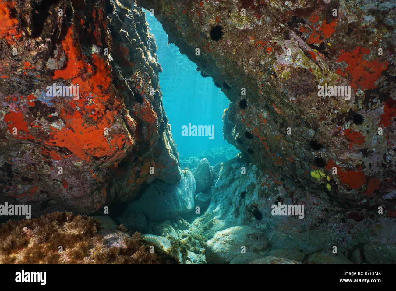 Eine Passage unter Felsen unter Wasser im Mittelmeer, natürlichen Szene, Italien Stockfoto