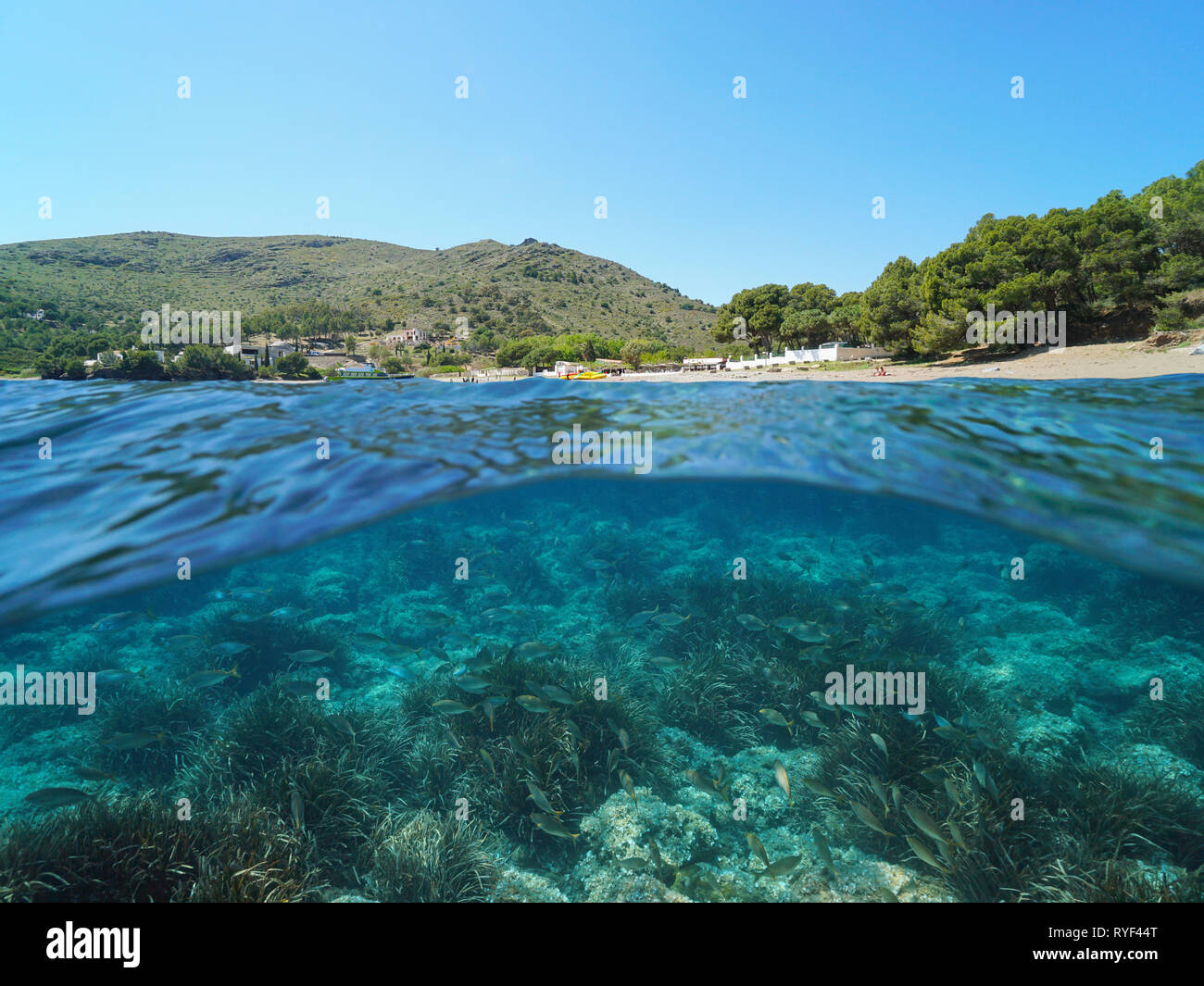 Spanien Costa Brava mit Fisch und Seegras Unterwasser, Mittelmeer, Cala Montjoi, Rosen, Katalonien, geteilte Ansicht Hälfte über und unter Wasser Stockfoto