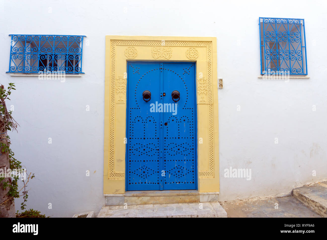 Fassade des Hauses und Zierpflanzen Tür in der Medina von Sidi Bou Said, Tunesien Stockfoto