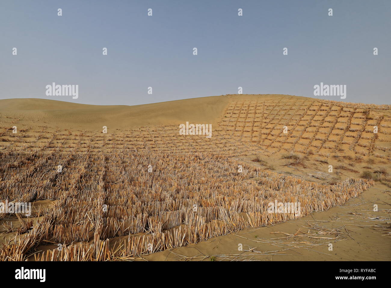 Strohschachbrett-Sand-Kontrollbarrieren. Hotan Präfektur-Xinjiang Uyghur Region-China-0002 Stockfoto