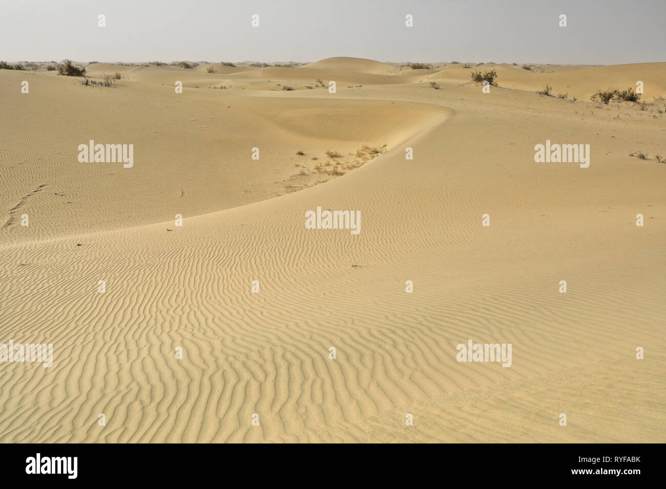 Verschieben von Sanddünen - Takla Makan Desert. Hotan Präfektur-Xinjiang Uyghur Region-China-0006 Stockfoto