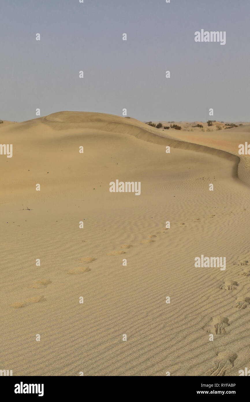 Verschieben von Sanddünen - Takla Makan Desert. Hotan Präfektur-Xinjiang Uyghur Region-China-0007 Stockfoto
