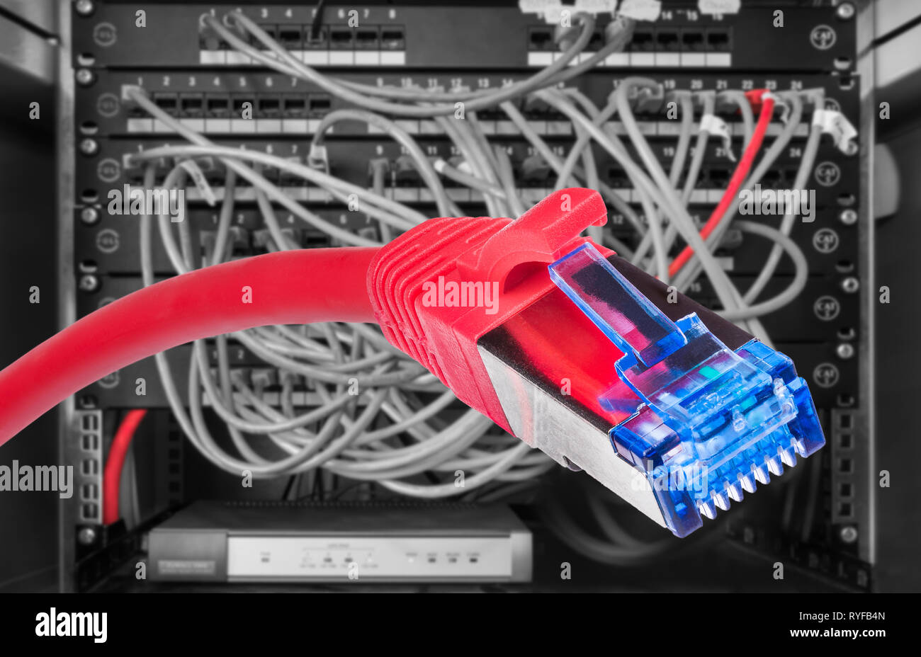 Rote Netzwerk STP-FTP-Kabel. RJ-45-Stecker. Strukturierte Verkabelung. Netzkabel eingesteckt in Patch-panels. Schwarz Rack. Die digitale Datenübertragung. PC. Stockfoto
