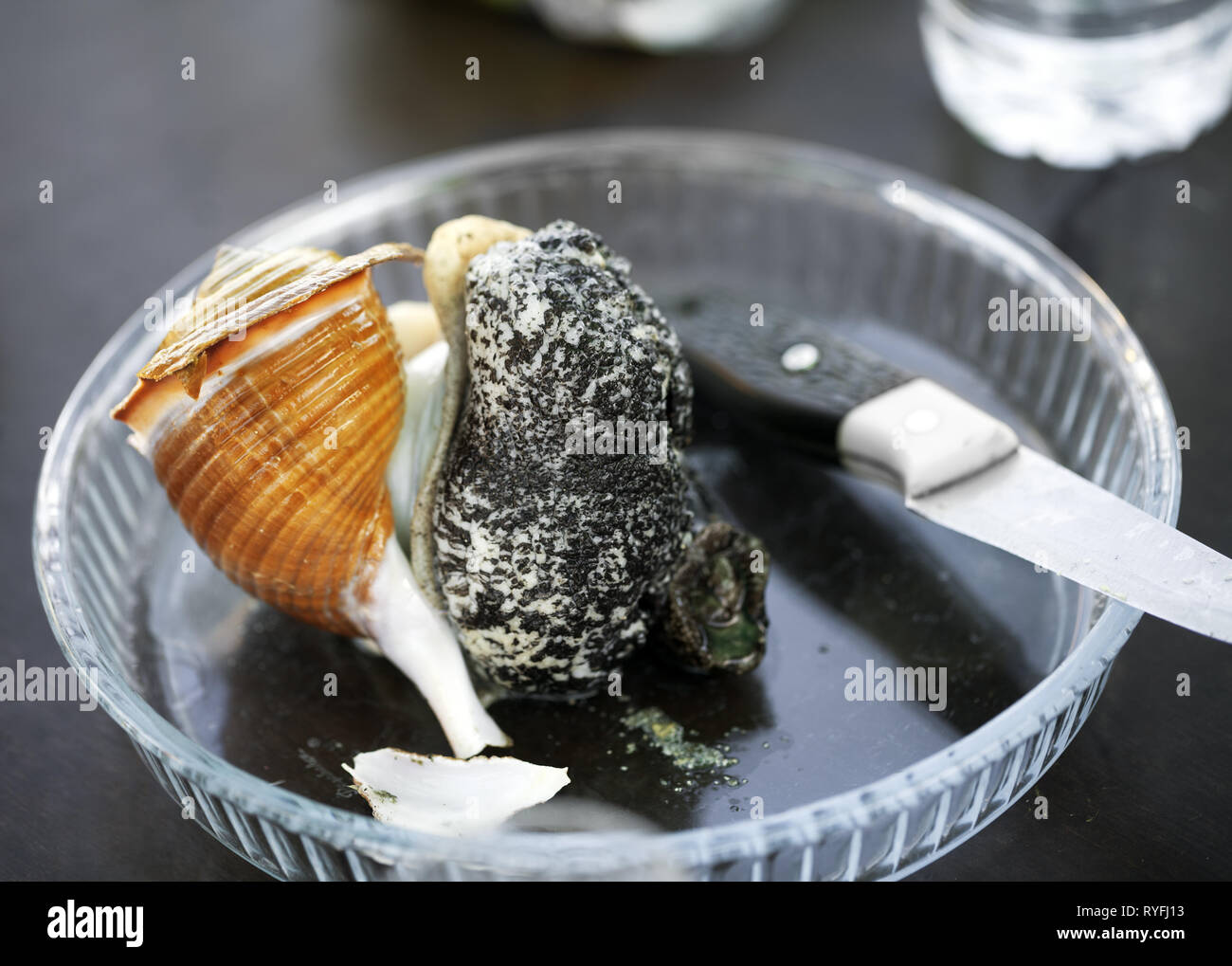 Brocken große raw Seeschnecke auf Glasplatten im Cafe Stockfoto