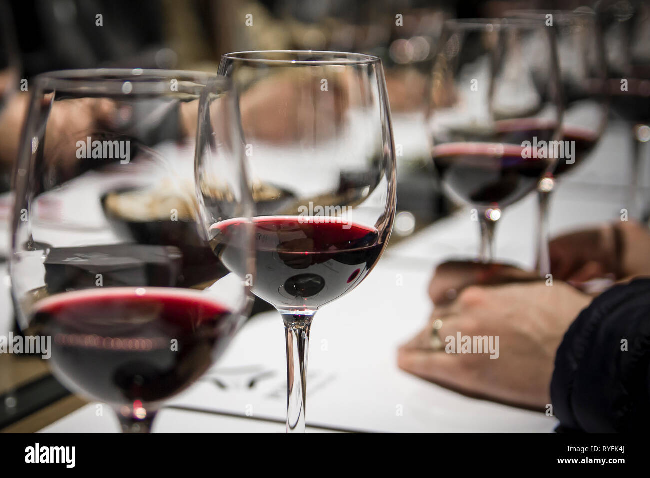 Weinprobe in Spanien Stockfoto