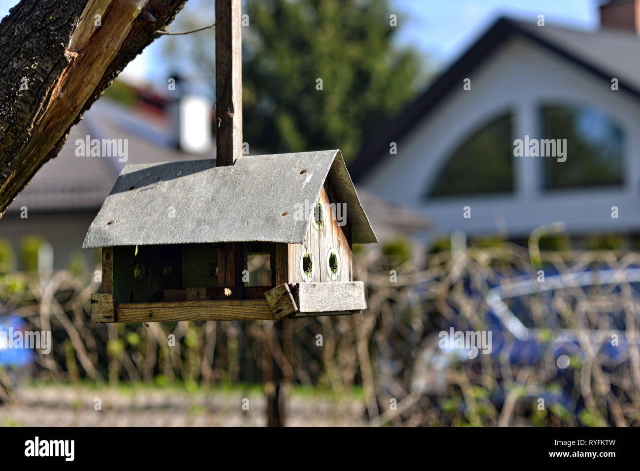 Handgefertigte Bird Feeder Hängen an einem Baum im Hof - Bild Stockfoto