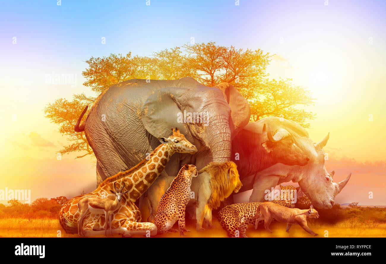 Big Five und wilde Tiere Collage mit afrikanischen Baum bei Sonnenaufgang in der Serengeti Wildlife Area, Tansania, Ostafrika. Afrika Safari Szene in der Savanne Stockfoto