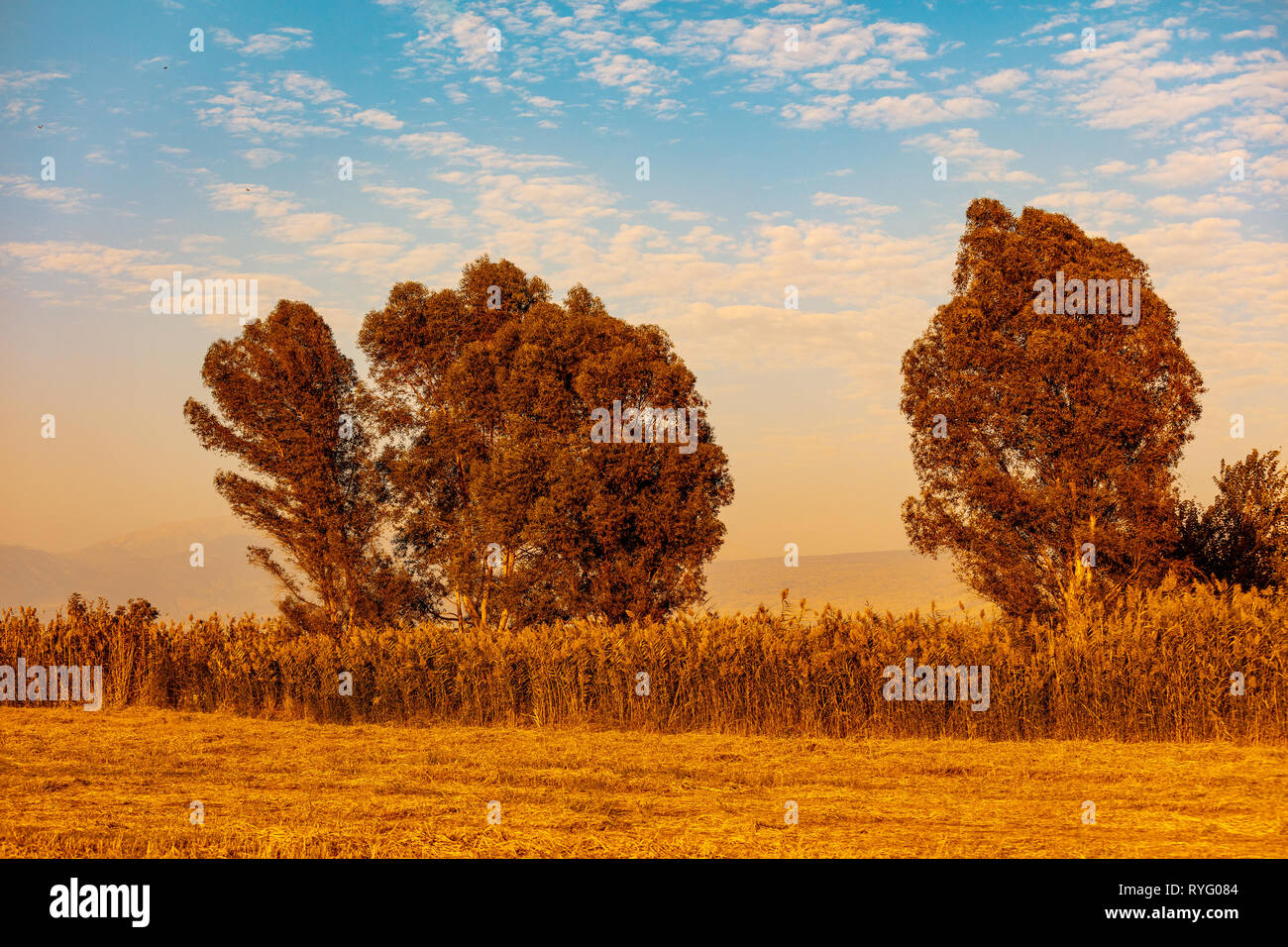 Agamon HaHula Naturschutzgebiet im Hula-tal bei Sonnenuntergang, im Norden Israels Stockfoto