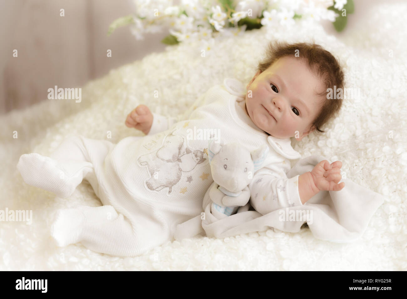 Reborn Baby. Vinyl Puppe sculpt, Coco Malu, von Eliza Marx. Ein reborn ist eine anatomisch korrekten Puppen aus Vinyl und von Hand bemalt das Erscheinen zu bringen Stockfoto