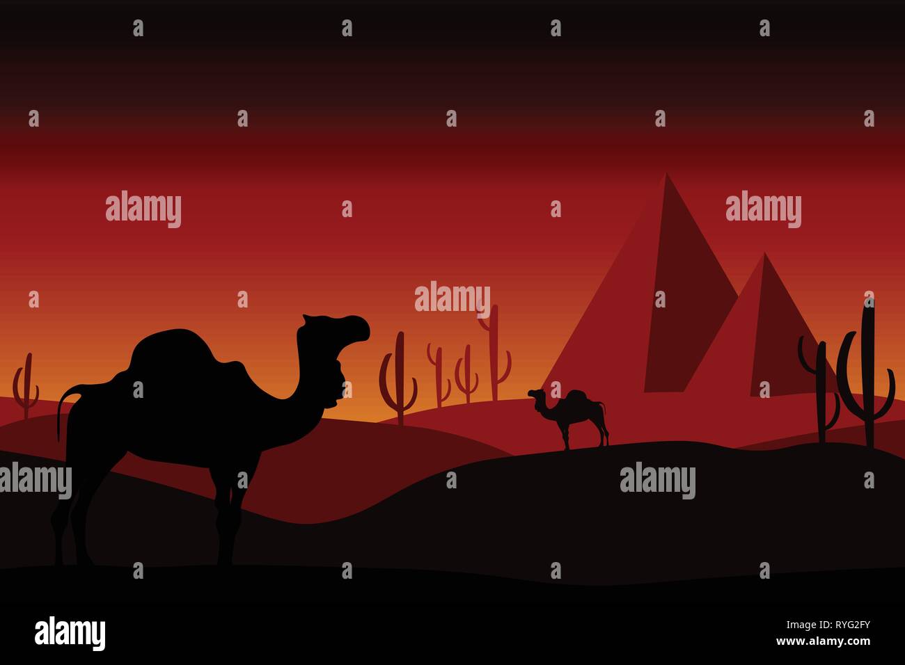 Wüste Konzept - Kamele in der Wüste mit Kakteen, Sanddünen und Pyramiden. Landschaft, Panorama, Blick von außen auf die wilde Natur. Editierbar Abbildung. Stock Vektor