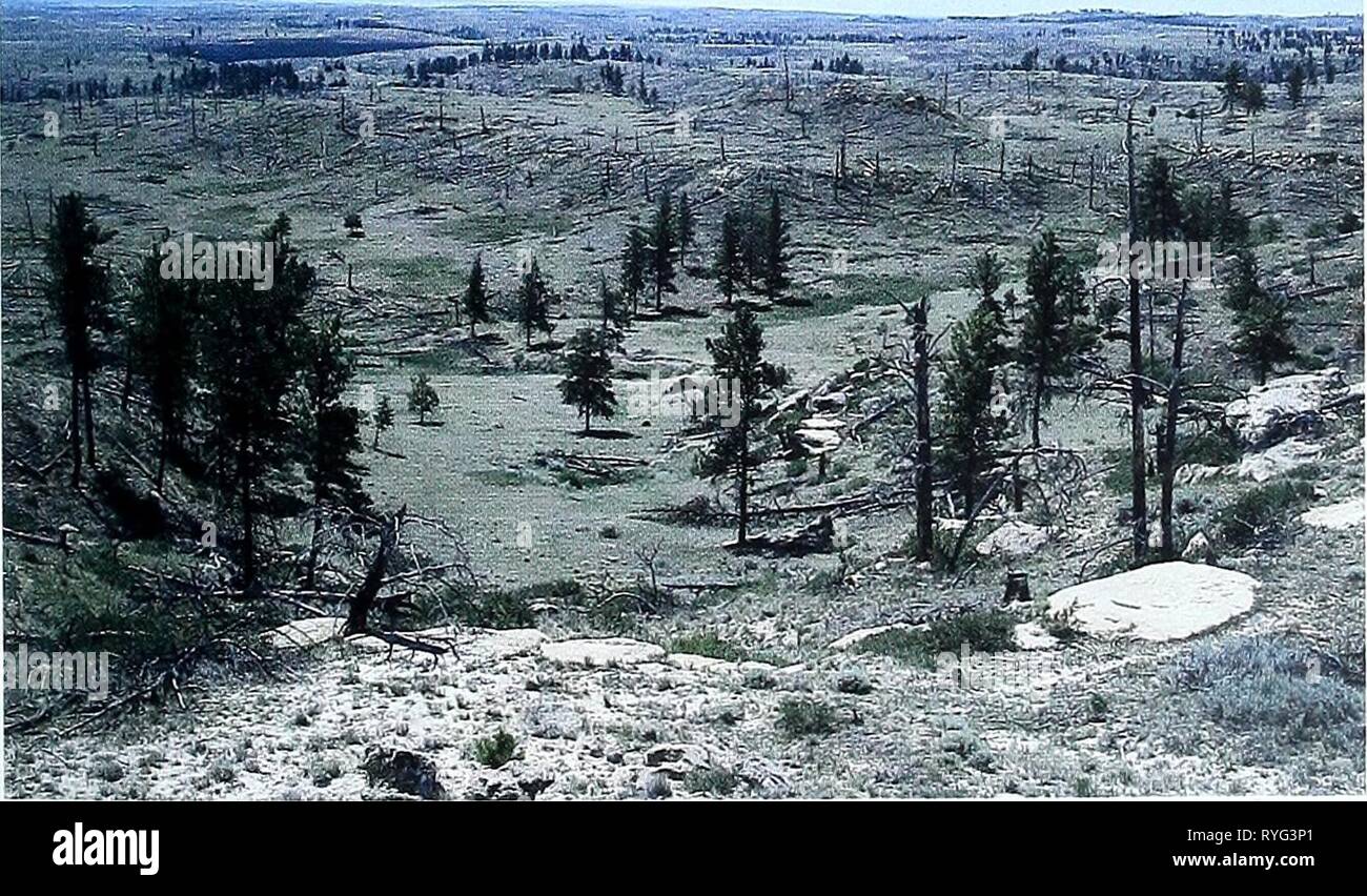 80 Jahre der Vegetation und Landschaft Veränderungen in den nördlichen Great Plains: Eine fotografische eightyyearsofveg 45 klem Jahr: 2001 Zusammenfassung, Montana Lage Musselshell Co., MT; Sec. 21, R. 26 E., T.6 N.; GPS-UTM 5125394 N, 694957 E. ca. 14 Meilen südlich von Roundup. Von Roundup, Reise nach Süden ungefähr 14 Meilen auf US-Highway 87. Hundert Meter südlich von Mile Marker 34, biegen Sie rechts (West) auf Majerus Straße (Schotterstraße). Straße 0,6 km geradeaus, dann nach links (Osten) auf tertiären, weder Trail. Fahren Sie etwa 0,2 km auf der tertiären Straße. Photopoint ist auf hohen Felsvorsprung gelegen, Abo Stockfoto