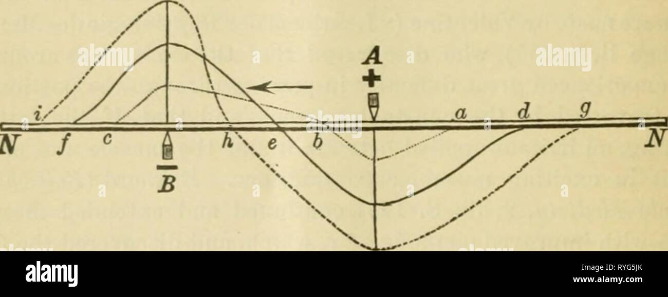 Elektro-Physiologie electrophysiolog 00 brub Jahr: 1894 B-36 BRUBAKER. imiiiedijite Nähe der Elektroden, sondern erstrecken sich auch auf einige Entfernung sowohl in den Intra- und Extra-polaren Regionen, wenngleich mit schrittweise - Vermindern - Intensität ing, bis sie endlich verschwinden. Zwischen den Elektroden gibt es einen Punkt, wo die anelectrotonic und catelectrotonic Staaten ineinander verschmelzen, und bei der die normale Erregbarkeit der Nervenzellen erhalten bleibt. Dies wird als Neutralstellung oder gleichgültig Punkt bekannt. Der Grad, bis zu dem die erregbarkeit am negativen erhöht wird, und ging an den Pluspol, und Stockfoto