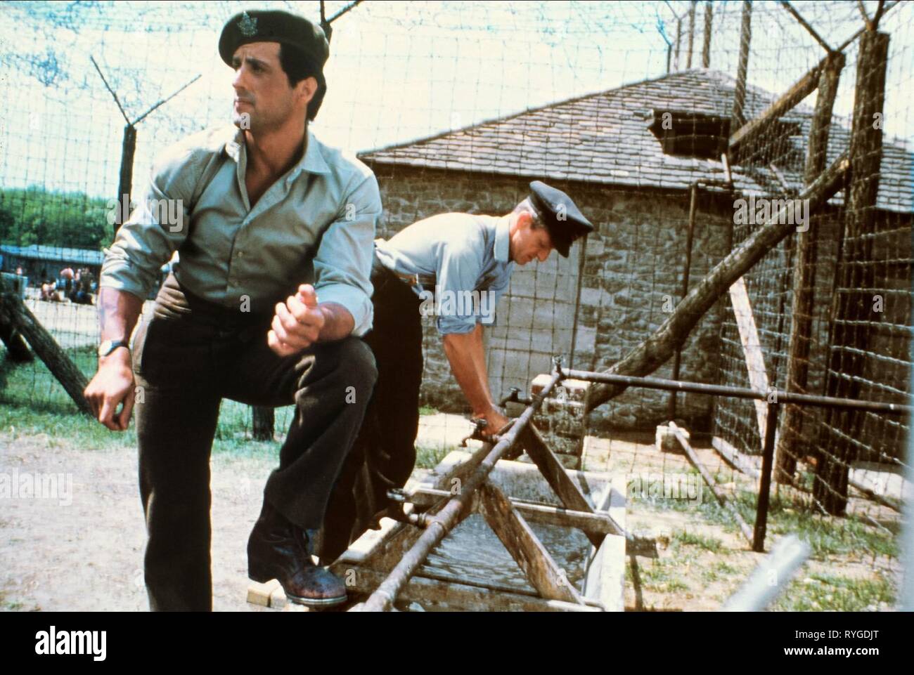 SYLVESTER STALLONE, ESCAPE um Sieg, 1981 Stockfoto